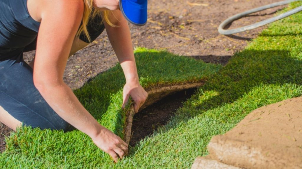 Professional Turfing Services Will Leave Your Lawn Looking Spectacular! 