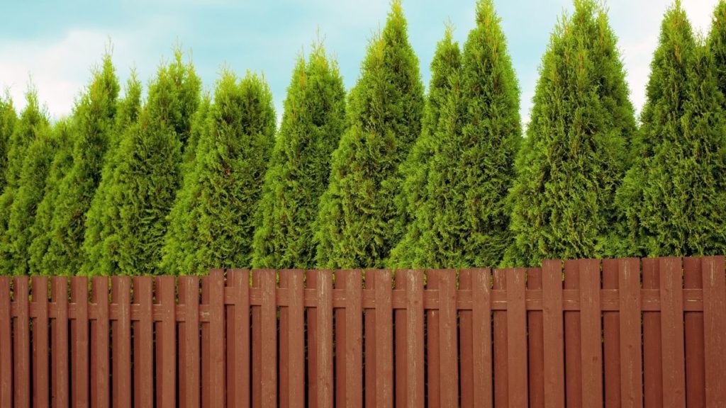 Protect Your Home By Creating A Barrier With Fences